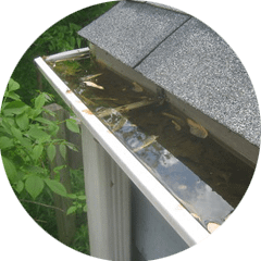 Rain Gutter Cleaning